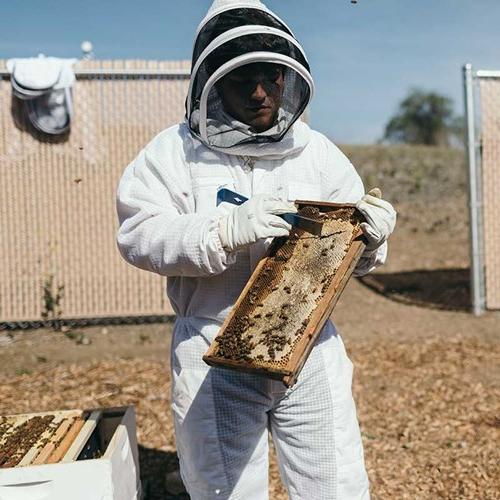 Person holding a bee hive in protective suit